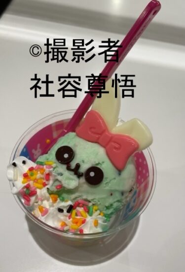 【口コミ】イオンモール茨木1階　サーティワンアイスクリームでハッピードールのうさぎとぱんだを食べてみた！
